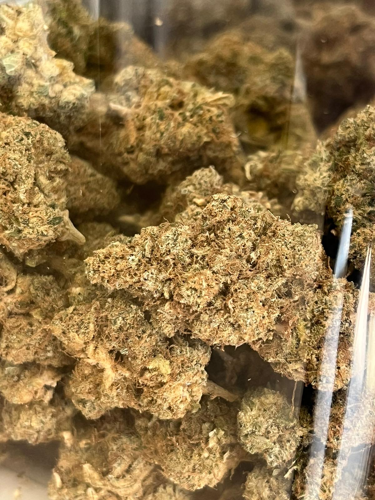 PURPLE HAZE