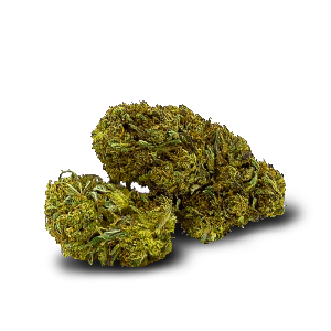 PURPLE HAZE