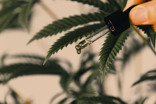 Comment choisir son huile de CBD ?