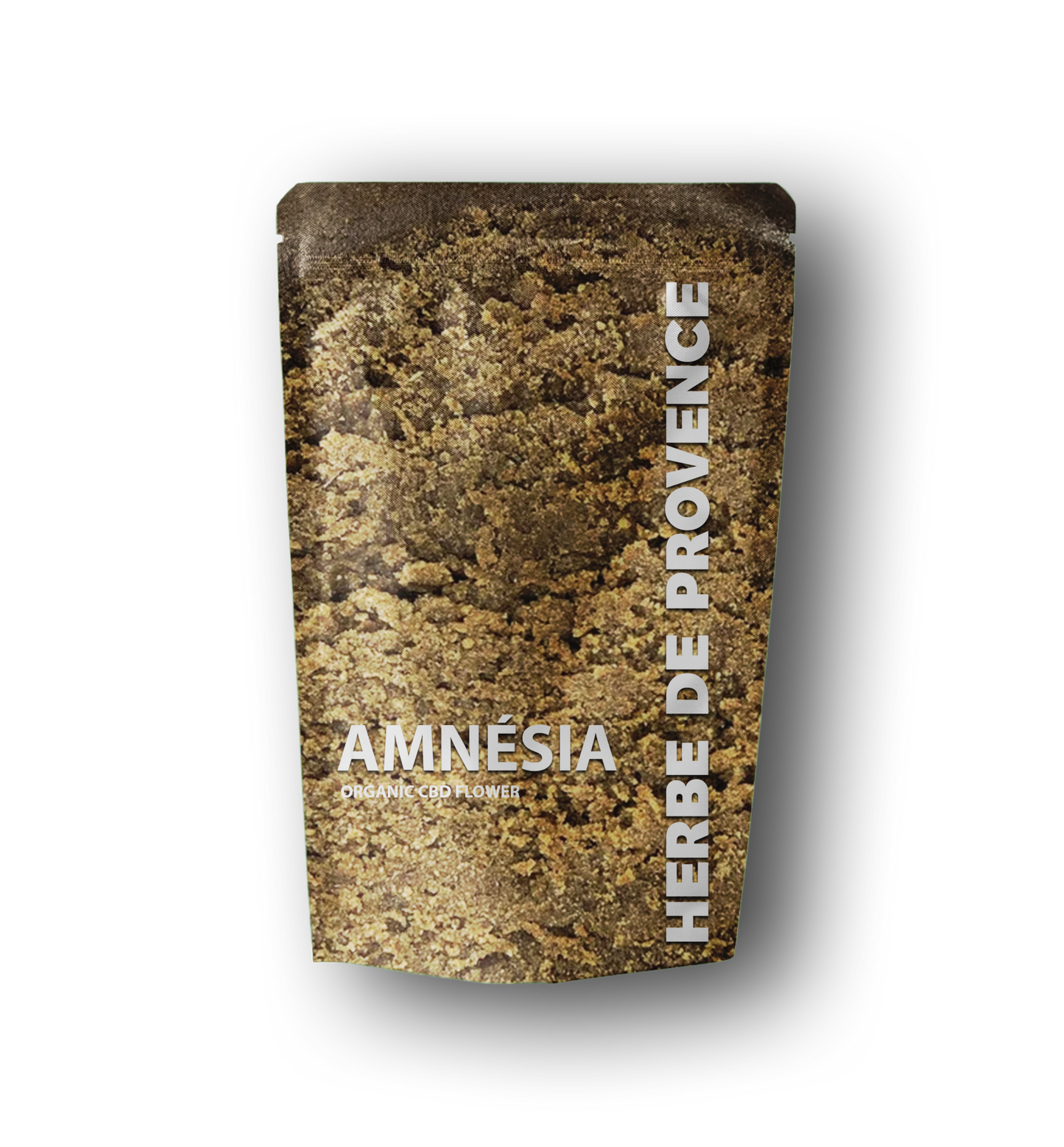 AMNESIA
