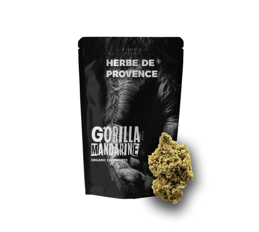 GORILLA MANDARINE