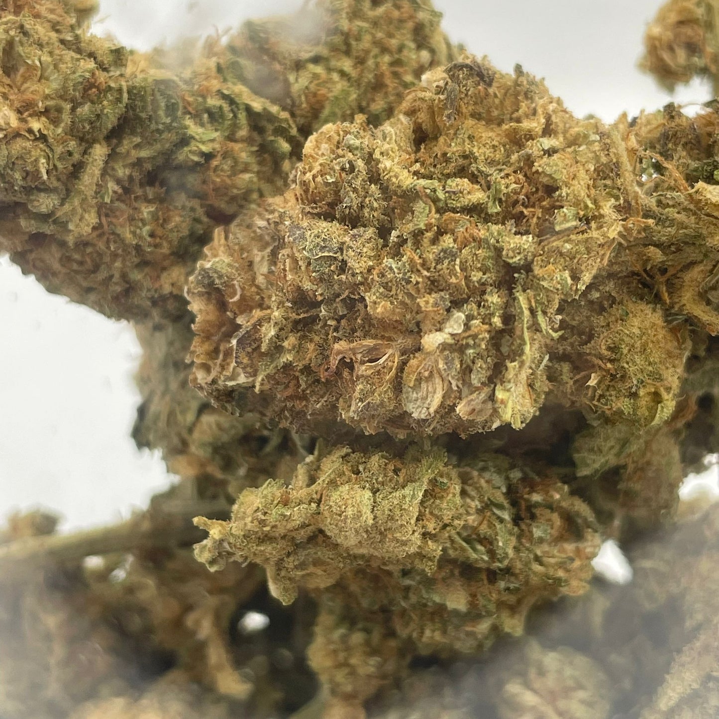 PURPLE HAZE