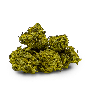 JUICY FRUIT