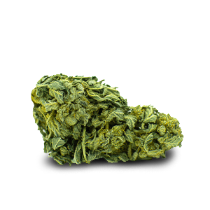 JACK HERER