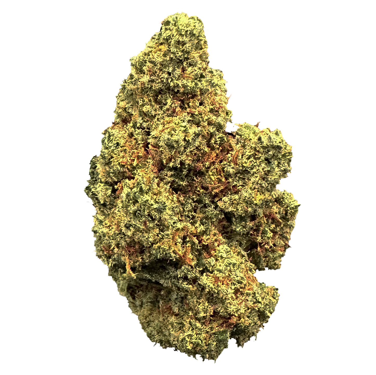 MIRACLE ALIEN COOKIE - ND9X