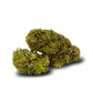PURPLE HAZE